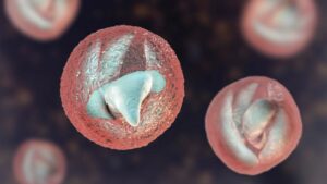 Cryptosporidium parasite being removed from drinking water by Houston reverse osmosis systems